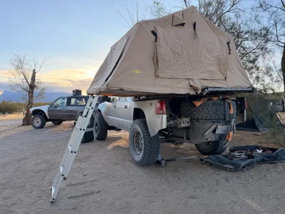 1776100553369.webp 1776100553369.webp