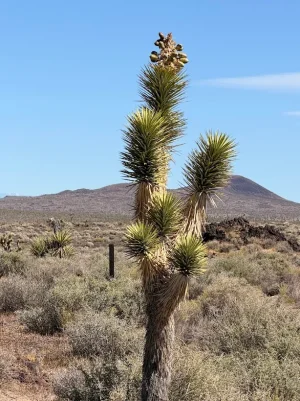 1776100711669.webp 1776100711669.webp