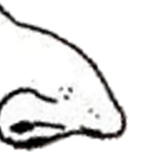 5cpjvl.webp