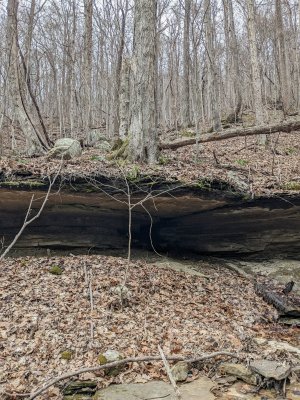 PXL_20230211_193025897.jpg