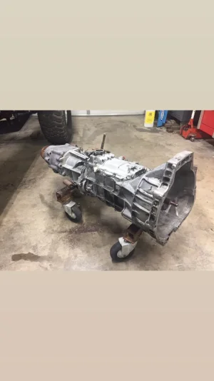 1785521C-0F26-4A67-A18D-41CE3CFFABAB.jpeg 1785521C-0F26-4A67-A18D-41CE3CFFABAB.jpeg