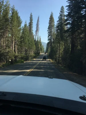 B0EB6A1E-8571-4A56-80E9-3FF98B3F0839.webp B0EB6A1E-8571-4A56-80E9-3FF98B3F0839.webp