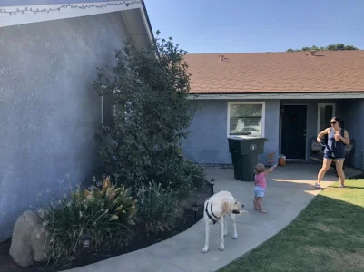 4A3A0805-2A26-4581-82DA-1CAA611CBEAF.webp 4A3A0805-2A26-4581-82DA-1CAA611CBEAF.webp