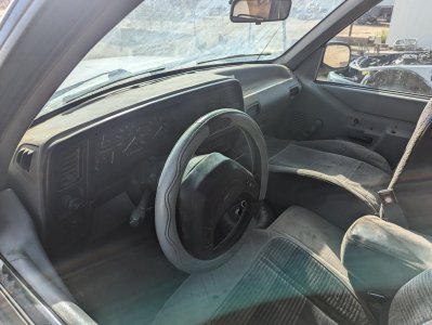 PXL_20230308_165836863.jpg