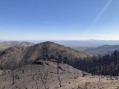 fXVXVQ1.webp fXVXVQ1.webp