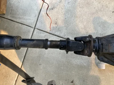 IMG_9456_9.webp IMG_9456_9.webp