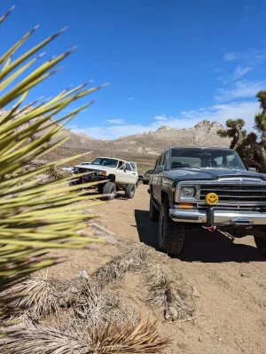 PXL_20230401_193157463.jpg PXL_20230401_193157463.jpg