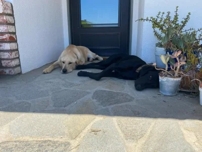 ECA6DEDC-9A78-4739-AC9A-ACC8A7659096.webp ECA6DEDC-9A78-4739-AC9A-ACC8A7659096.webp