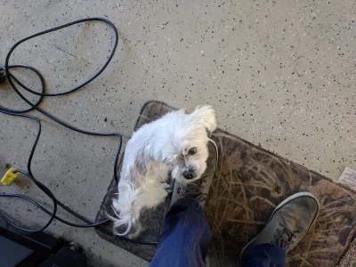 codish.webp codish.webp