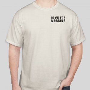 Prerunner Island Sample Front.jpg
