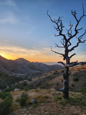 20230427_190903.webp 20230427_190903.webp