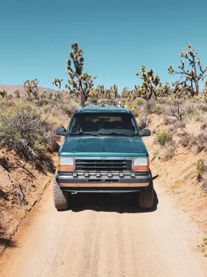 20230428_103313.webp 20230428_103313.webp