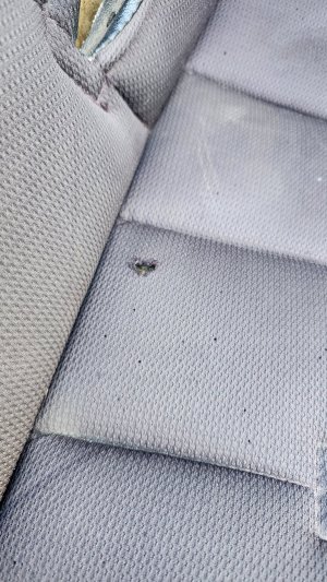 hole in seat.jpg