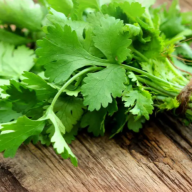 CiLANTRo