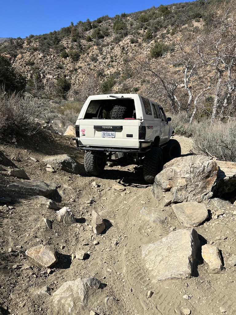 51966923278_b556ff64d0_b.jpg